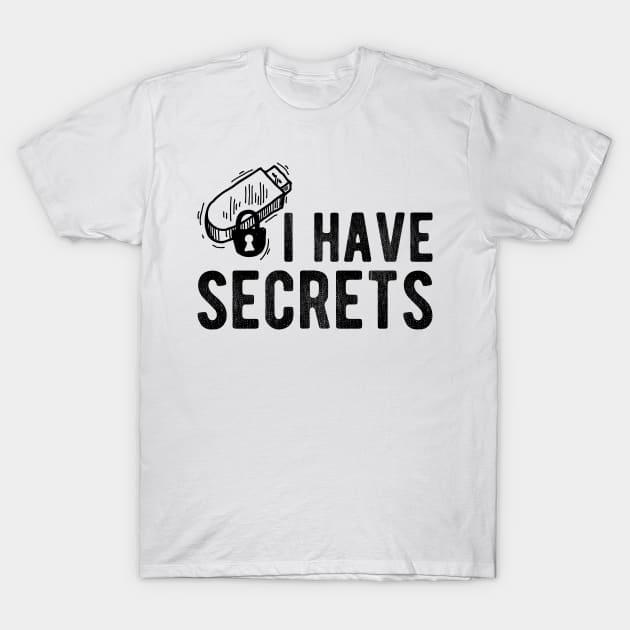 USB I Have Secrets T-Shirt by KC Happy Shop